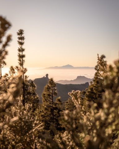 Blick vom höchsten Punkt Gran Canarias: Pico de las Nieves